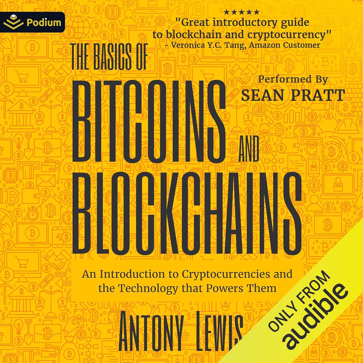 The Basics of Bitcoins and Blockchains
